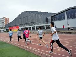 纽约洋基队宣布 2026 赛季将重点加强与南美洲棒球学院的合作，寻找新天才